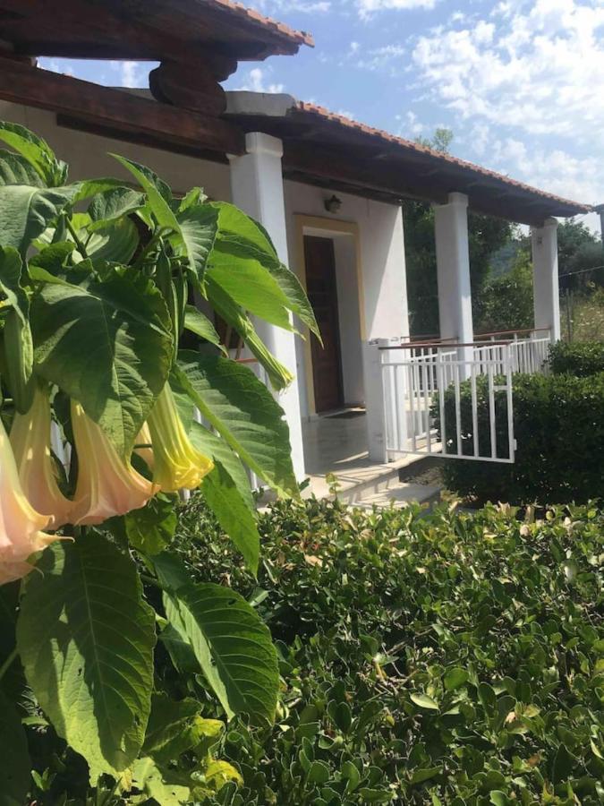 Thanos Rooms Arillas  Eksteriør bilde